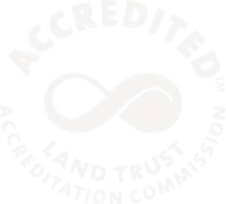 Accreditation logo