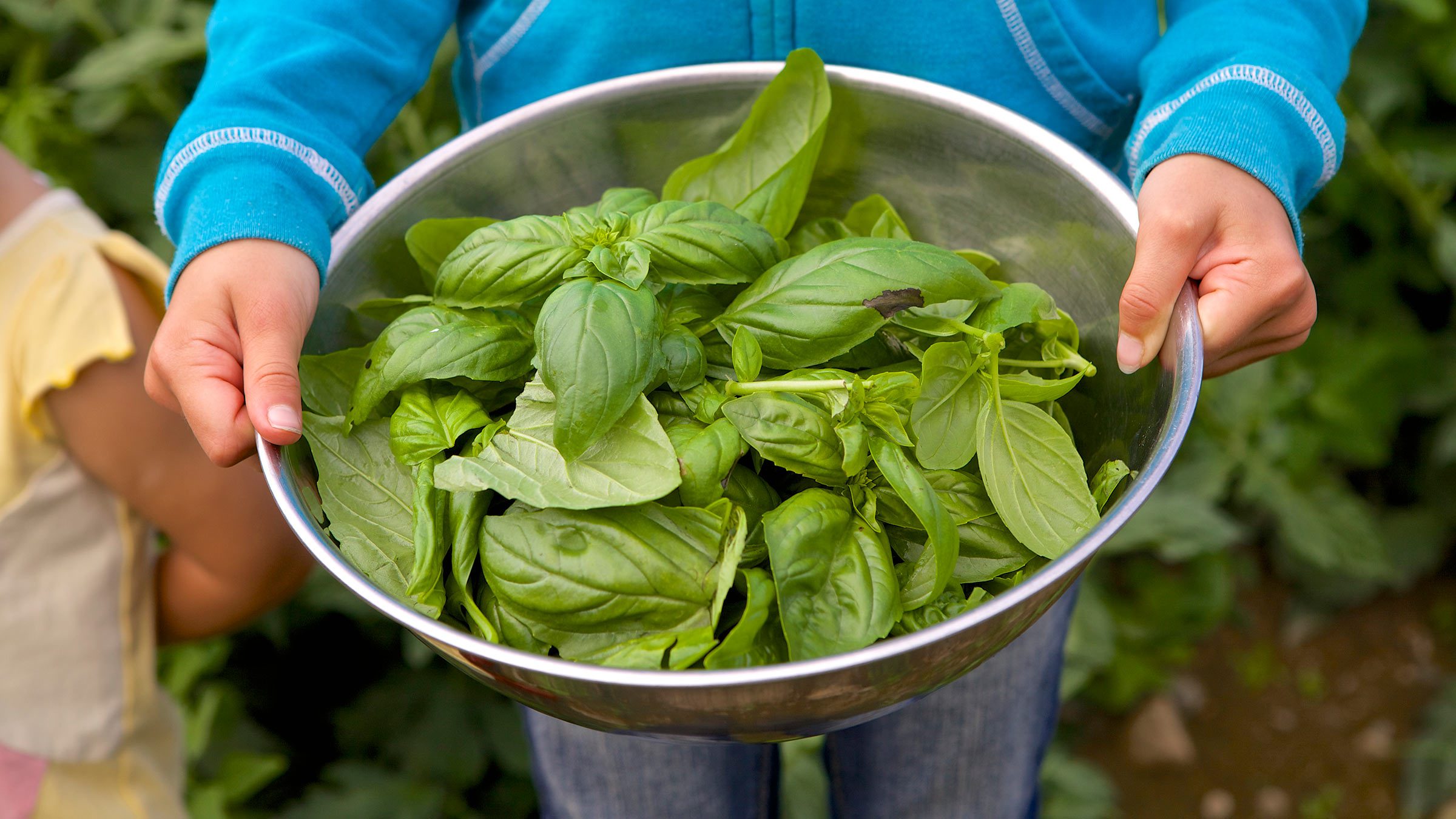 Support Us Vermont Land Trust