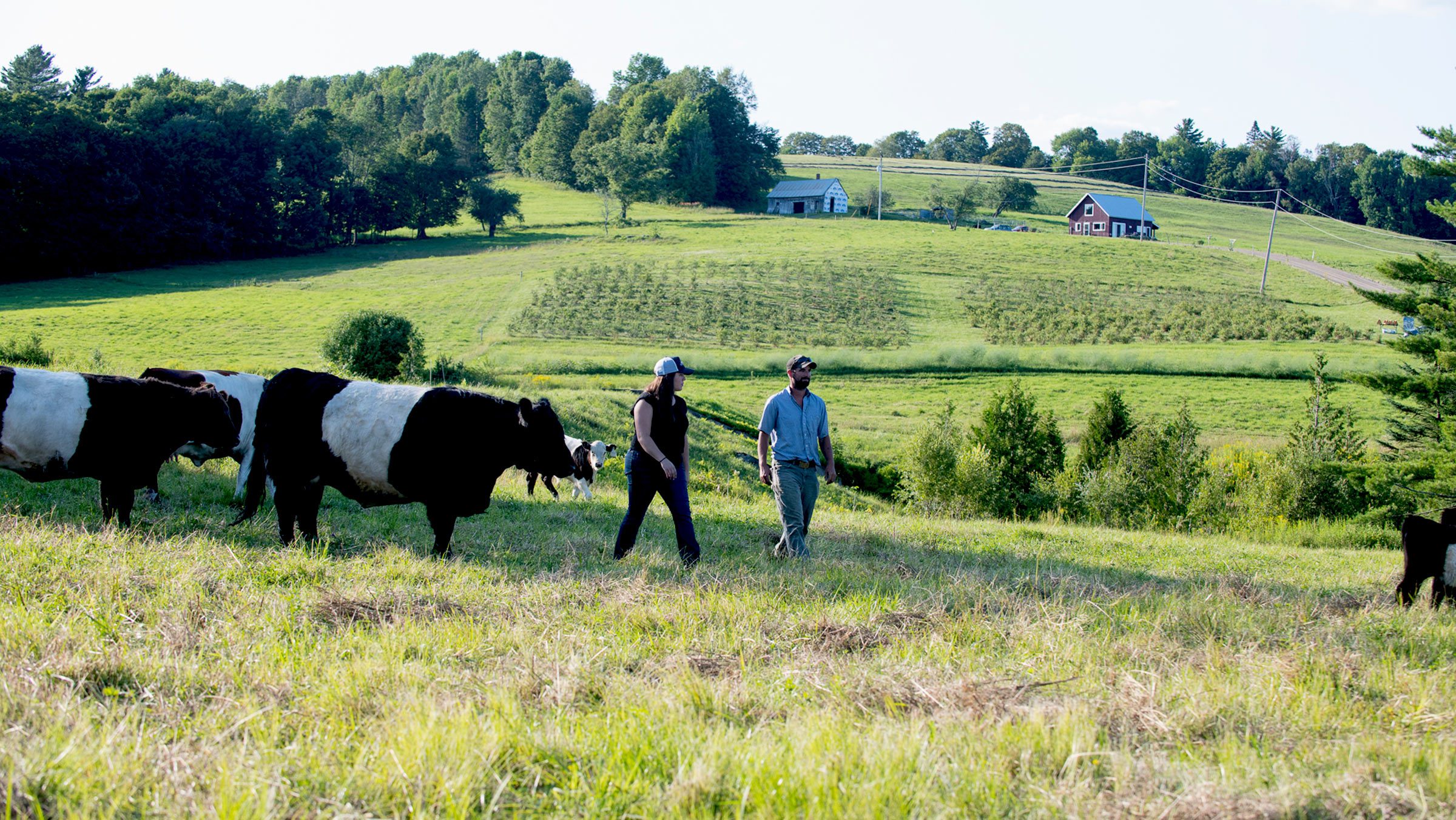 Farmers & Farmland Vermont Land Trust