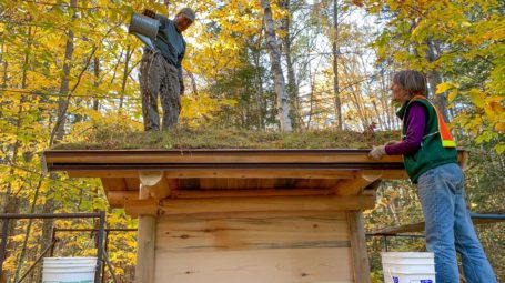 Man watering sod on a kiosk roof with woman watching him