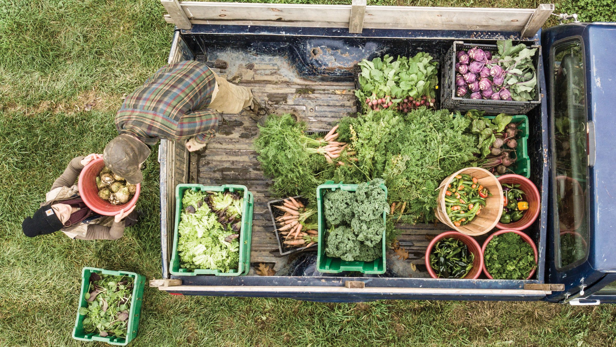 Financial Information Vermont Land Trust