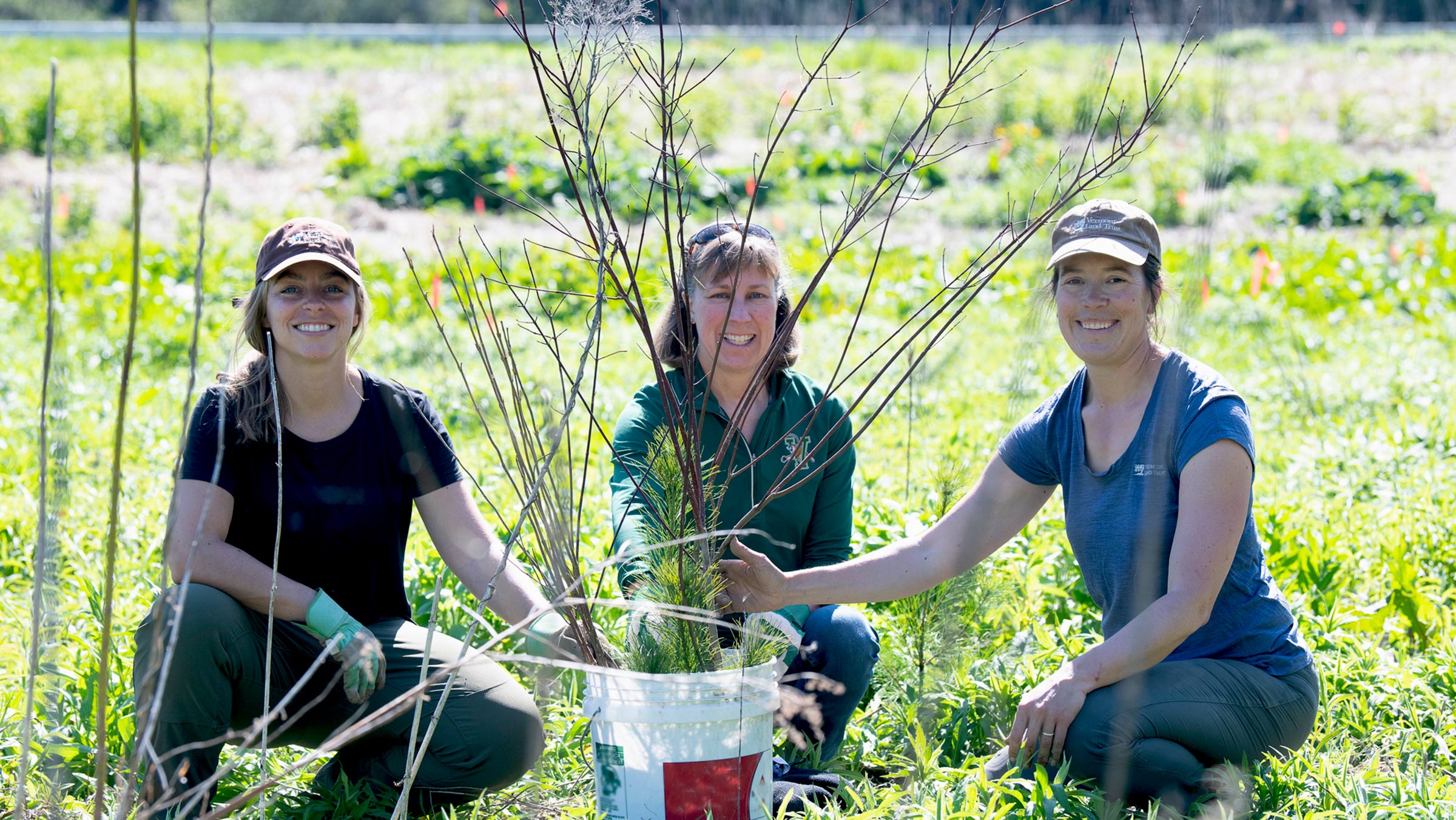 About Us Vermont Land Trust
