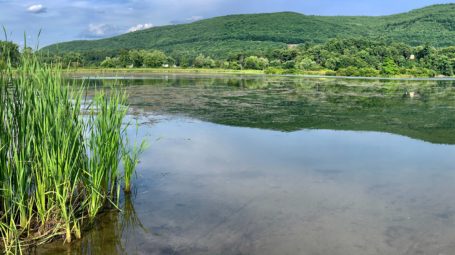 Calm wide river with green hills on far shore