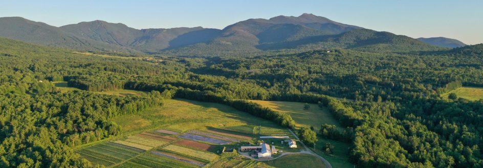 aerial view of a farm with forests and mountains in summer