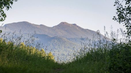 Brewster Uplands - Path and Mountain View