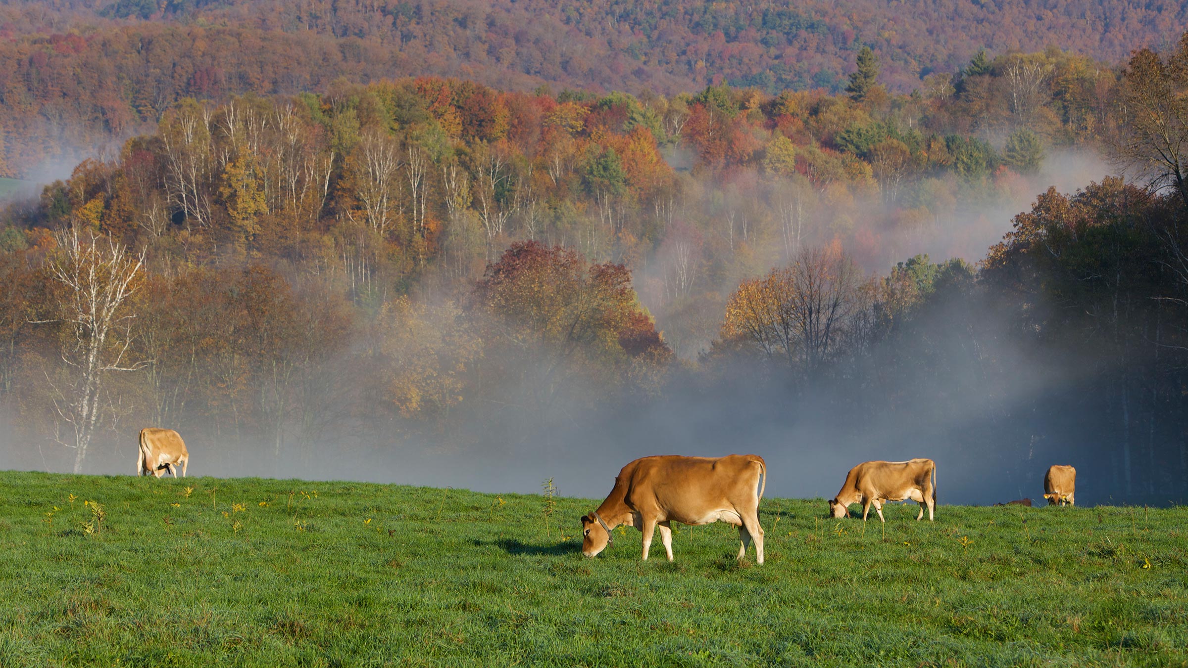 Healthy Soil Grants Vermont Land Trust