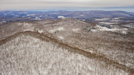 Jerusalem Skyline forest, Starksboro - aerial image of ridgeline and view