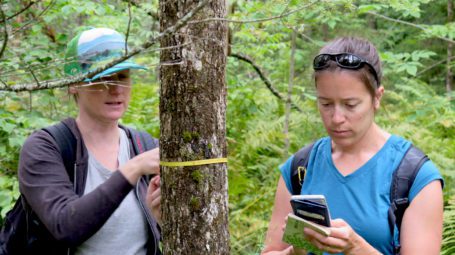 two women in woods - one is measuring a tree and the other is reading