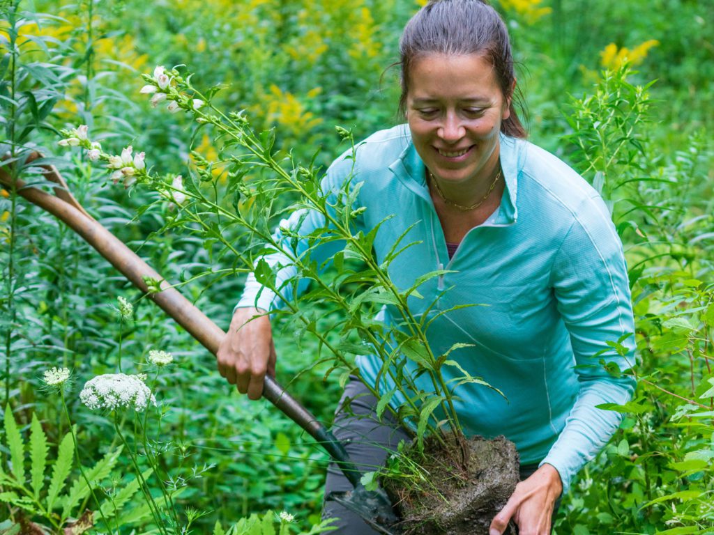 Allaire carrying a plant