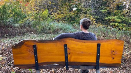 from behind, a woman looking out at the forest edge from a bench on the end of the birding trail