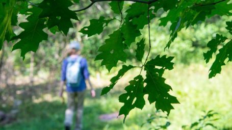 hiker walking through park in distance