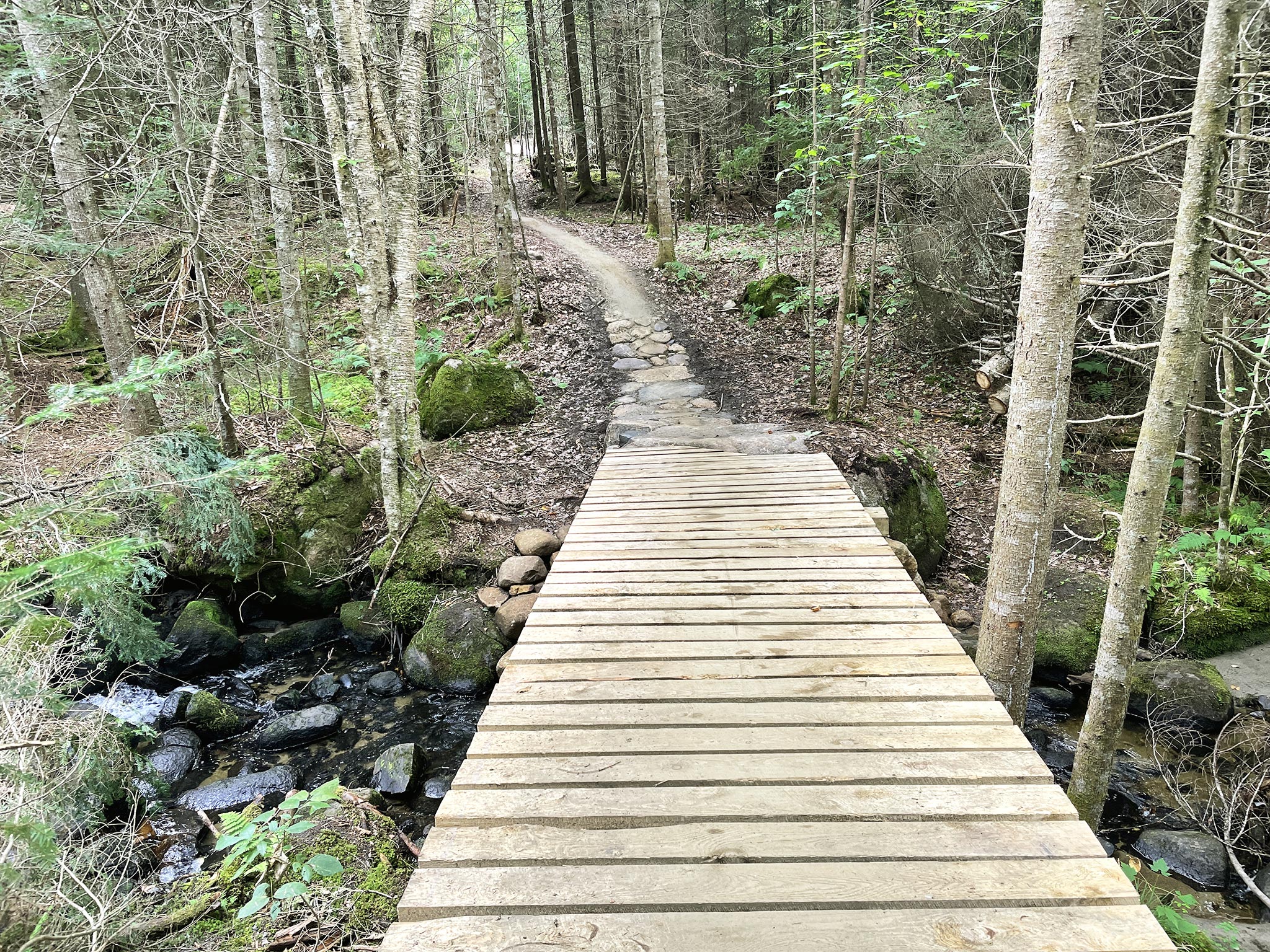 A new community forest with trails in Vermont's Northeast
