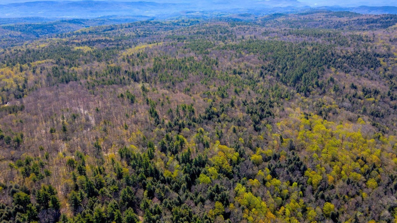 Windy Ridge Vt Windmill Hill Ridgeline Trail System - Seven Vermont trail highlights