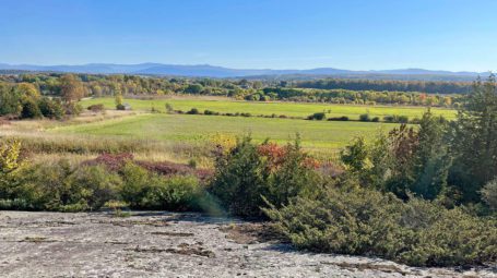 Summertime view of Champlain Valley farmland owned by Monument Farms.