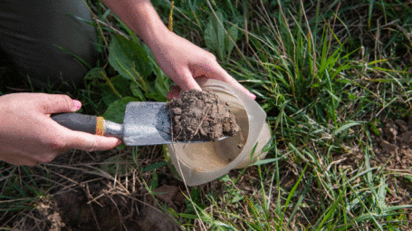 Close up of hands scooping soil into container for later study - Harrisons Homegrown farm in Addison Vermont