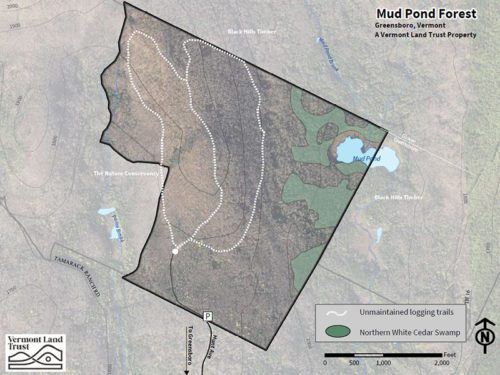 mud pond forest map, greensboro, vermont