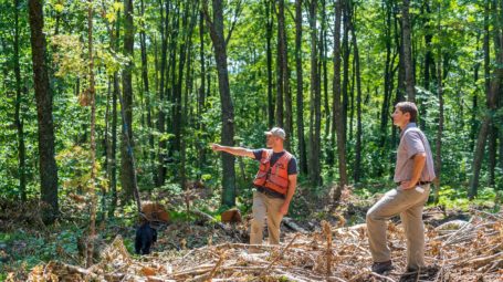 Two men standing in recent forest clearing at Mud Pond Forest looking at something off to the left.