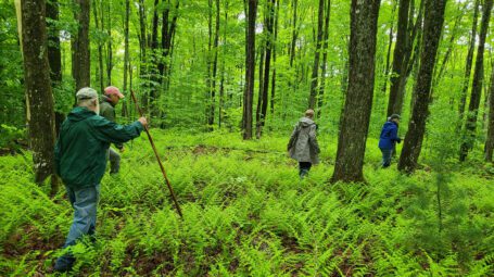 People walking through lush green forest in summer - Danville Vermont - Fairbanks Museum Nature Preserve at the Matsinger Forest