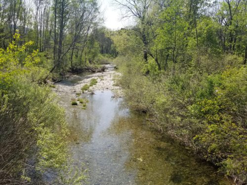 Stream with shrubs and young trees on either side on a spring day - Berlin Vermont