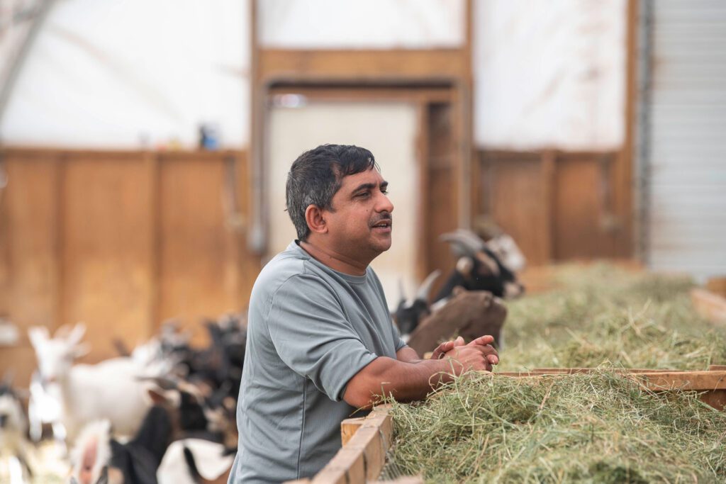 Man in barn standing next to hay with goats behind him - Dhaurali Goats - Colchester Vermont 