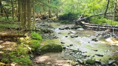 flowing river with rocks and trees on the banks. Seymour River near Mt Mansfield Vermont