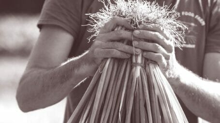 vermont farmer holding scallions