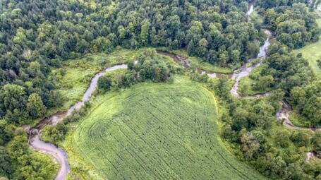 Conserved creek winding through a floodplain of woods and cornfield in Vermont. Meandering creeks in natural floodplains are better for clean water and flood safety.