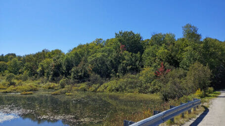 view of pond with wetlands, shrubs and trees on shoreline - Berlin Pond, Vermont