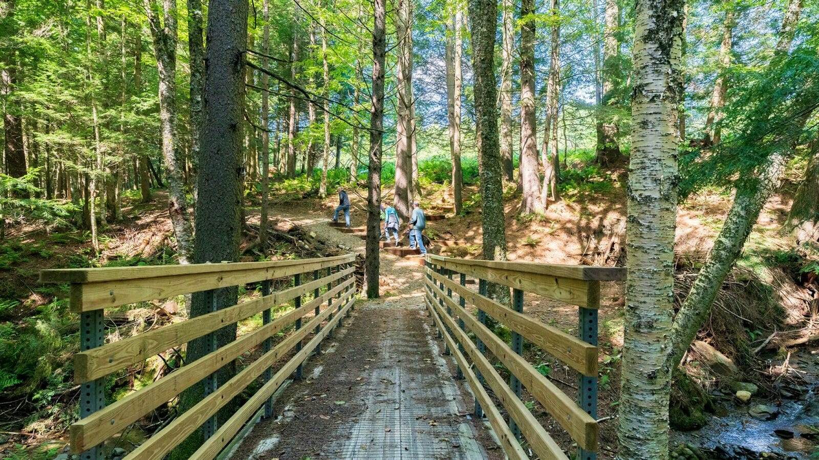 Easy Walking Trails: Explore Nature at Your Own Pace - Vermont Land Trust