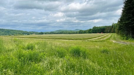 Hay fields at Hardwick farm protected by Sunset Lake Farm