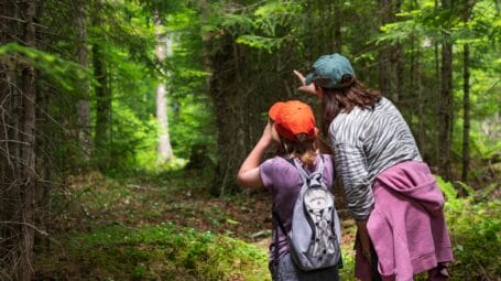 mother and child looking at nature in vermont woods on conserved land