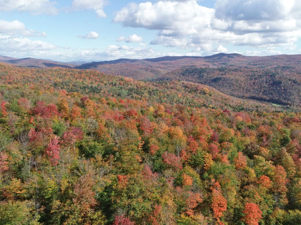 Aerial view of colorful fall forest in Northfield Mountains, Vermont