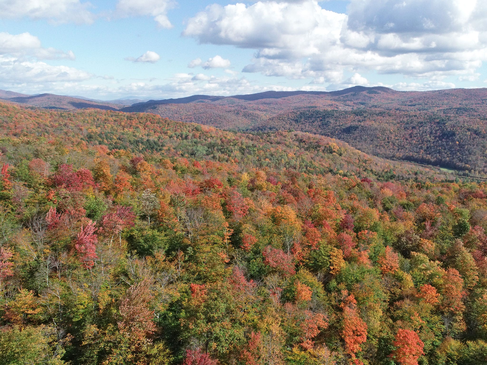 Teaming up for 30x30 in Vermont - Vermont Land Trust