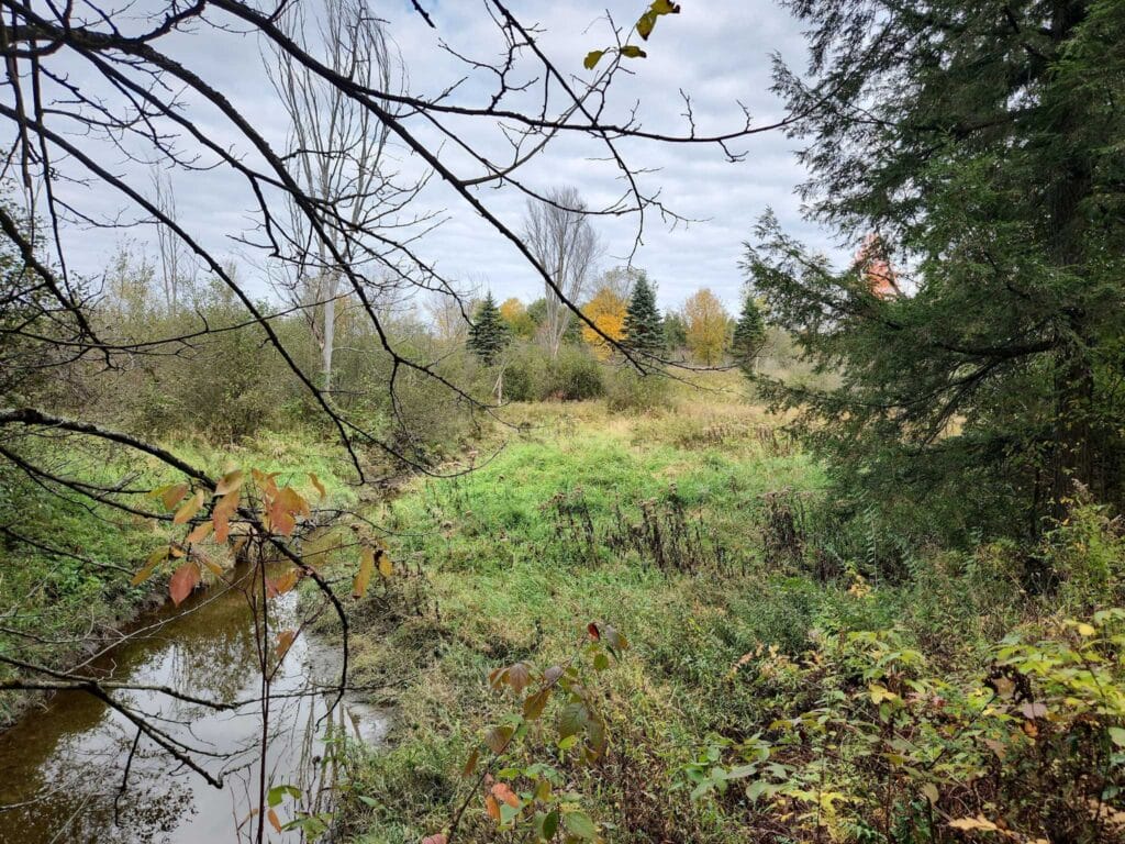 A small stream runs under scattered trees between meadows.