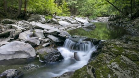 A small waterfall flows among a rocky stream with trees surrounding