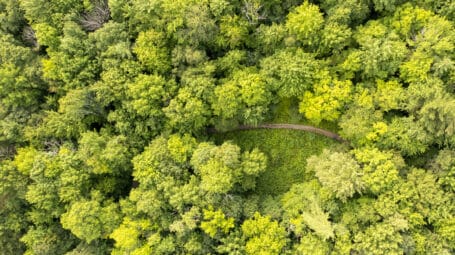 Aerial view of forest and trail in the Hinesburg Town Forest.