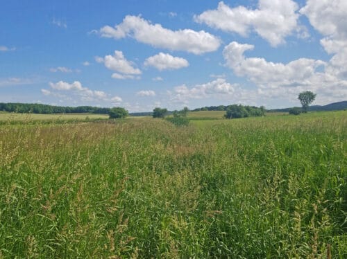 Farm fields and pasture in high summer on sunny day, Franklin County Vermont