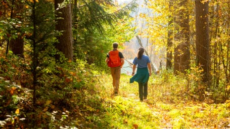 View of two people walking through the woods, their backs to us