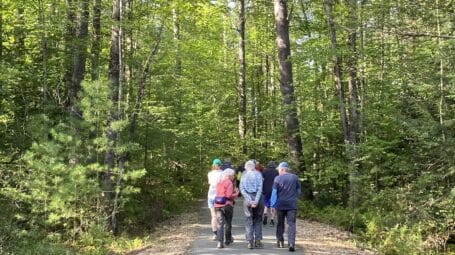 A group of people walks away on a smooth gravel path in the woods.