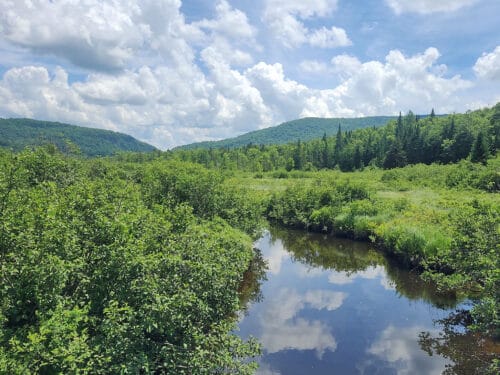 aerial shot of river with wooded banks and hills in distance. Belvidere, Eden, Vermont