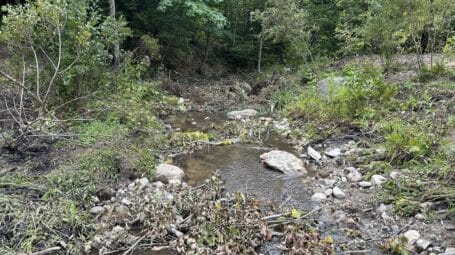 View of a restored streambed in Dorset, Vermont