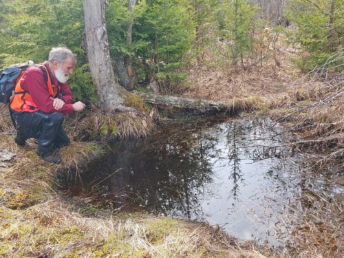 Man crouching by a small pool in spring forest. Vernal pool. Belvidere, Eden, Vermont 