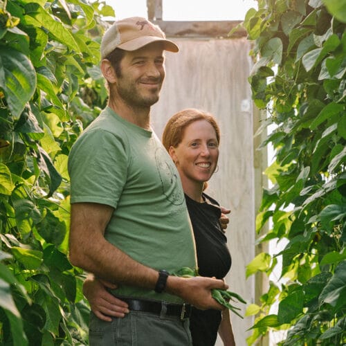 Man and woman farmer in greenhouse between rows of tall plants. James and Sara Donegan of Trillium Hill Farm, Hinesburg. Vermont Land Trust. Eric Rozendaal Memorial Award