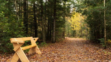 Wooden bench along a flat, leaf-covered path through the forest.