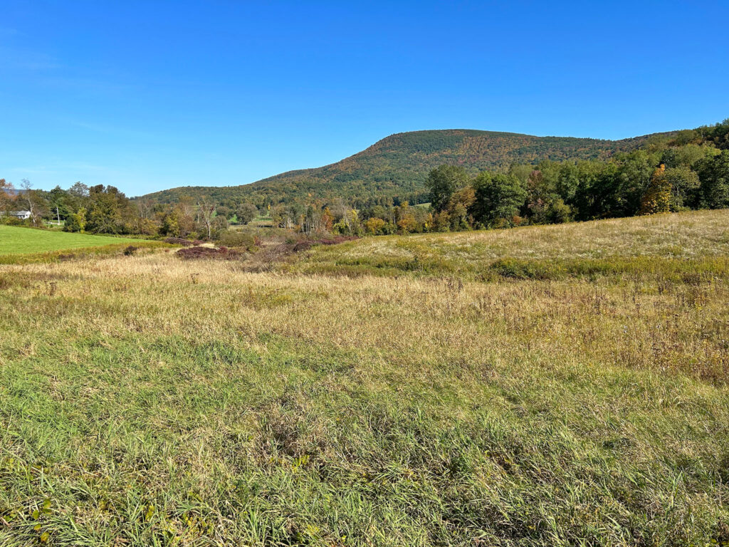 green and gold pasture land with hills in distance. Bennington Vermont