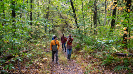 people walking on woods trail in the fall. Monkton Vermont