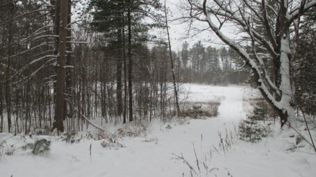 A snowy trail leads away into a field