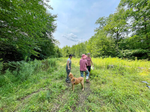 Three people and a dog in a grassy clearing with trees around. Westminster Vermont. Windmill Hill Ridgeline Reserve.