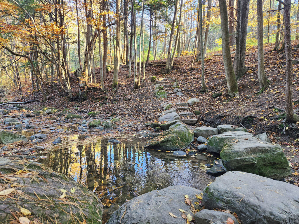 shallow pool with large stone steps around it, leading to wooded area beyond. fall, Wheeler Nature Park