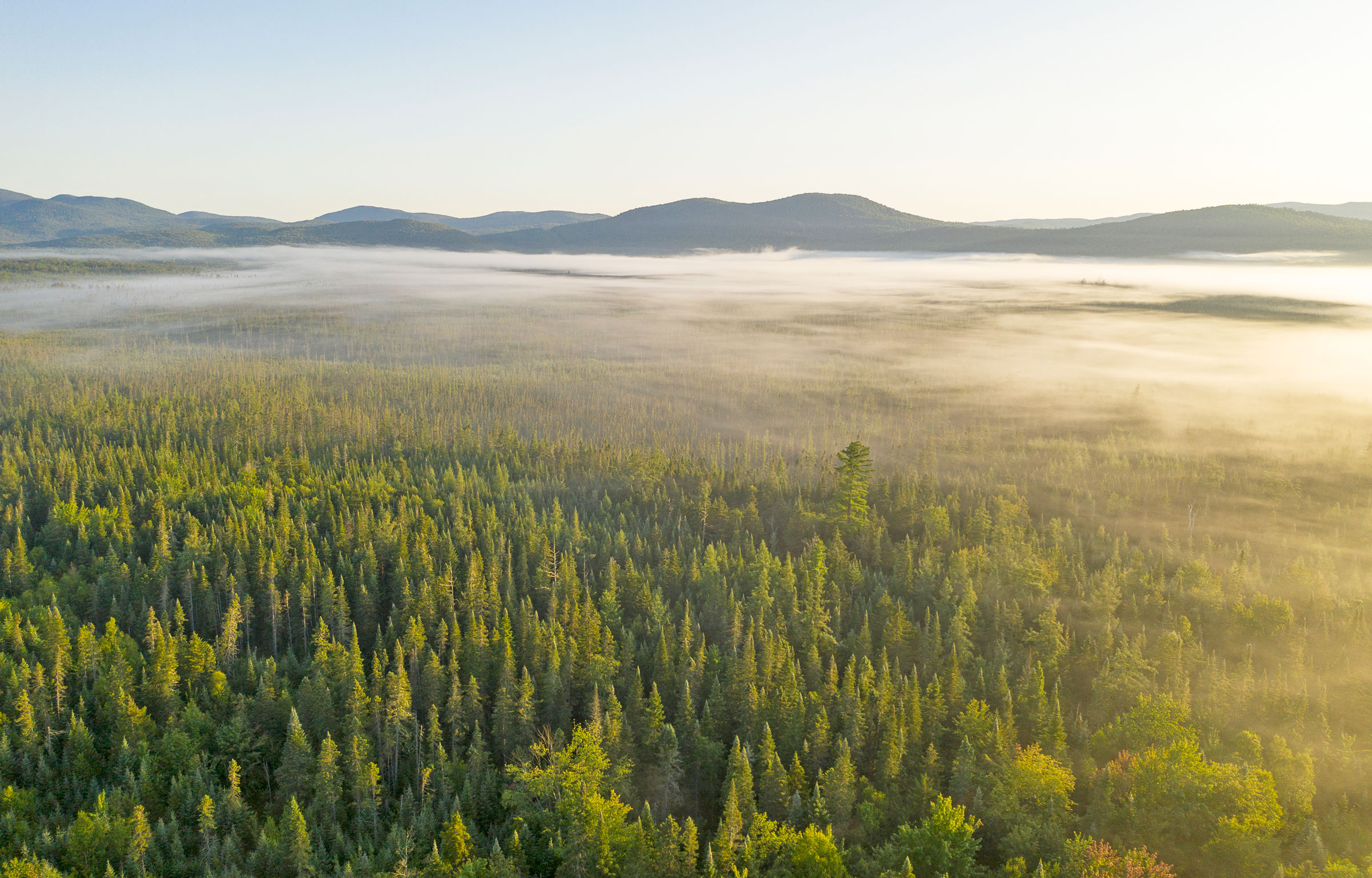 Beautiful view of mist-covered forest with mountains in the distance. Conserved land. Silvio O Conte National Wildlife Refuge, Vermont.